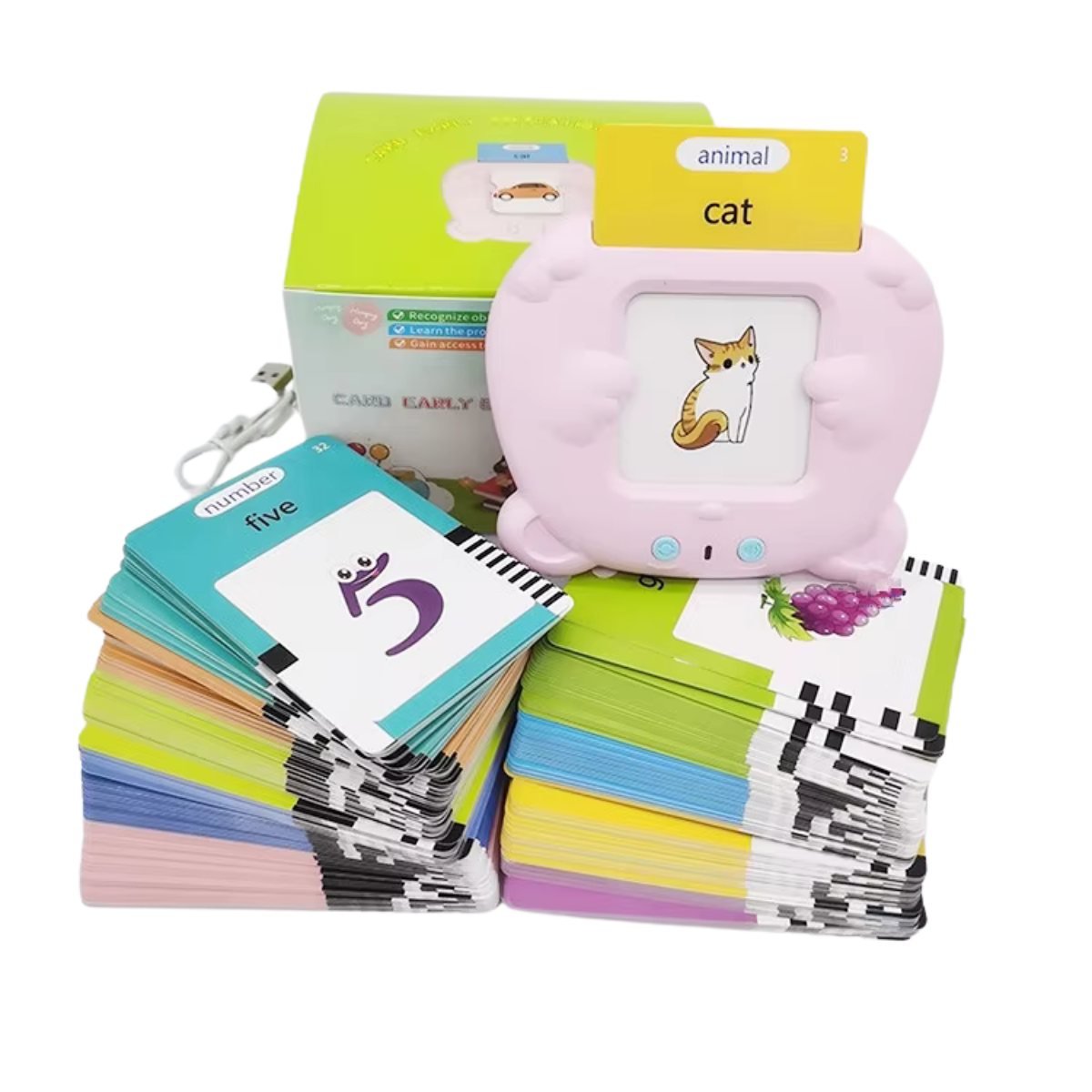 Talking Flash Cards Interactive Reader