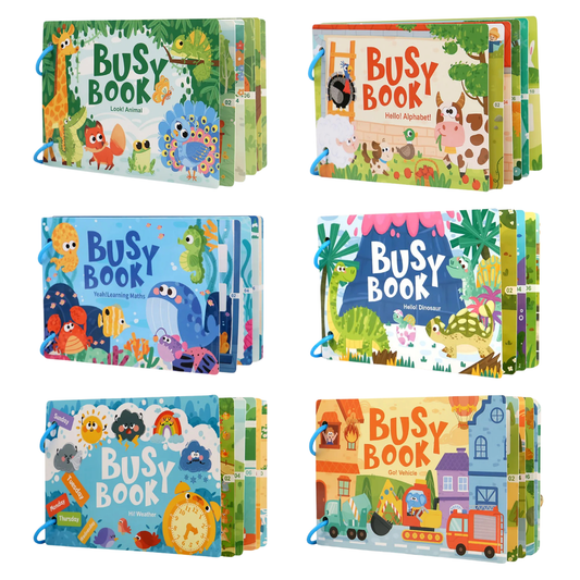 Early Educational Busy Book Collection