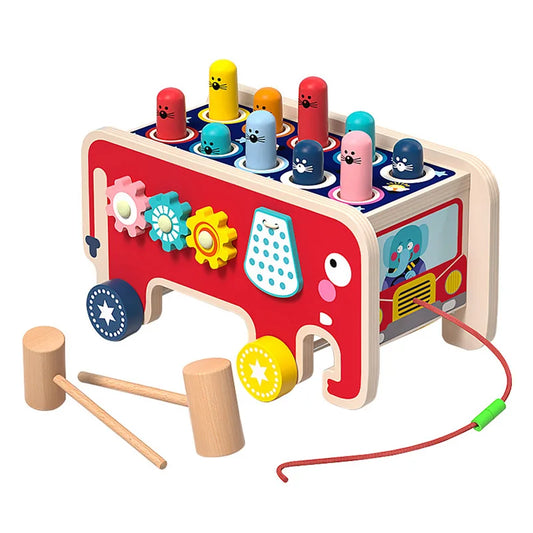 Wooden Pull-Along Activity Learning Toy