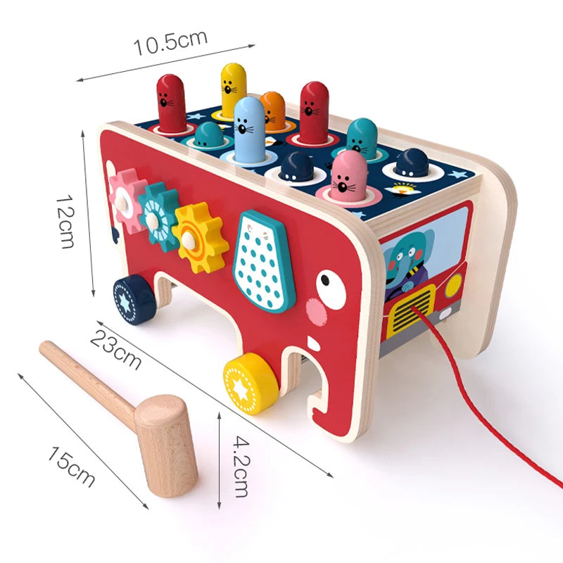 Wooden Pull-Along Activity Learning Toy