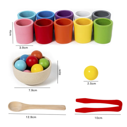 Montessori Wooden Colour Sorting Cups