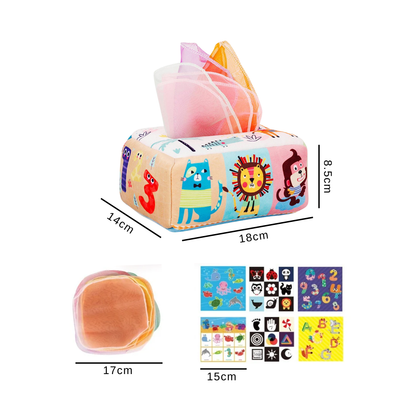Montessori Tissue Sensory Box