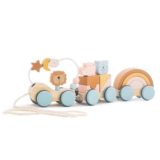 Montessori Wooden Pull Along Train