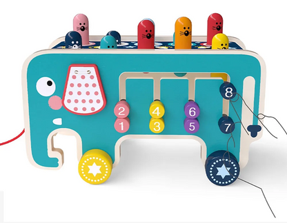 Wooden Pull-Along Activity Learning Toy