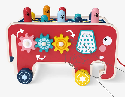 Wooden Pull-Along Activity Learning Toy